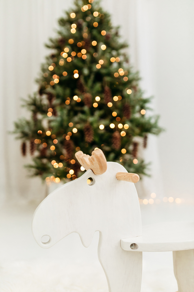 Kalėdine šeimos fotosesija 