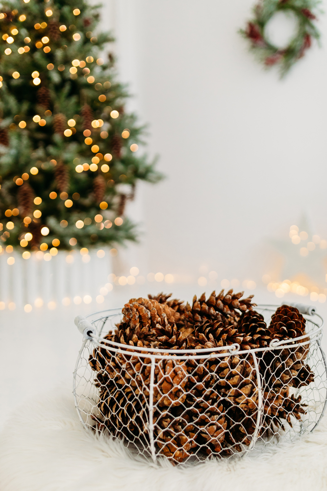 Kalėdine šeimos fotosesija 