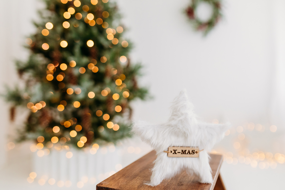 Kalėdine šeimos fotosesija 