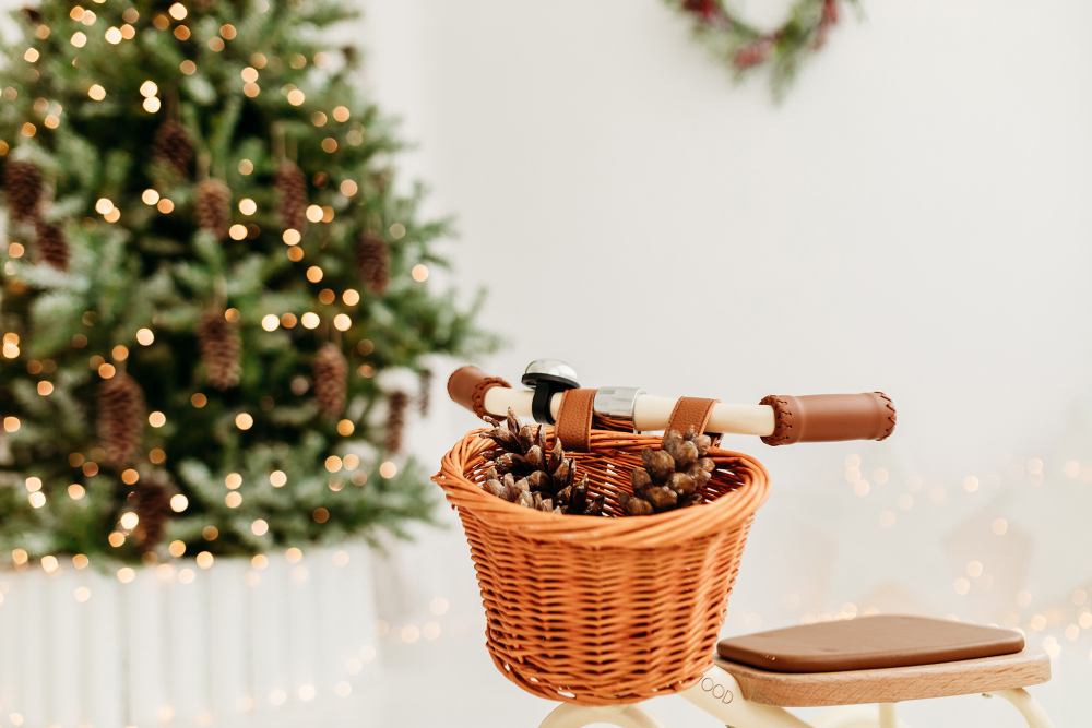 Kalėdine šeimos fotosesija 