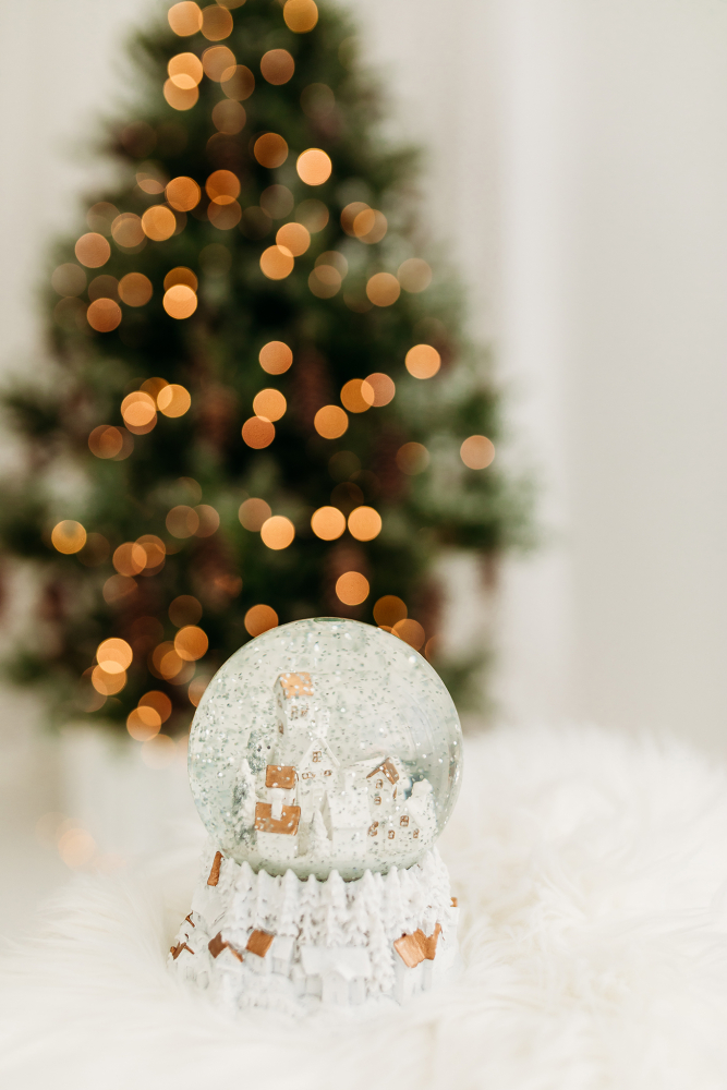 Kalėdine šeimos fotosesija 