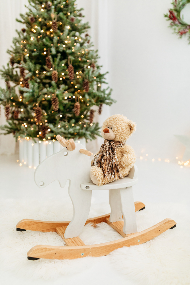 Kalėdine šeimos fotosesija 