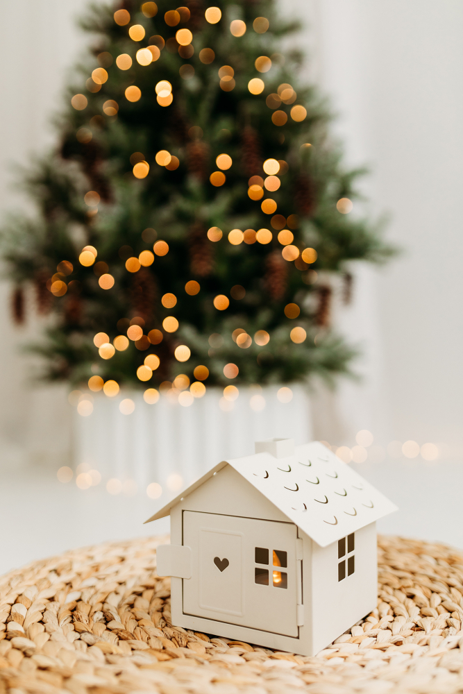 Kalėdine šeimos fotosesija 