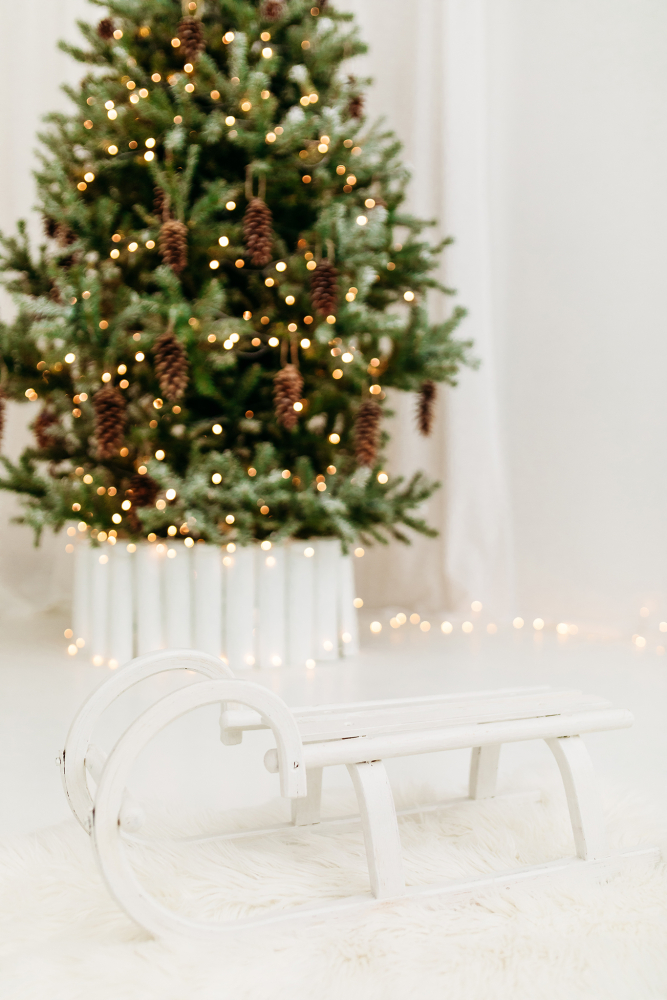 Kalėdine šeimos fotosesija 