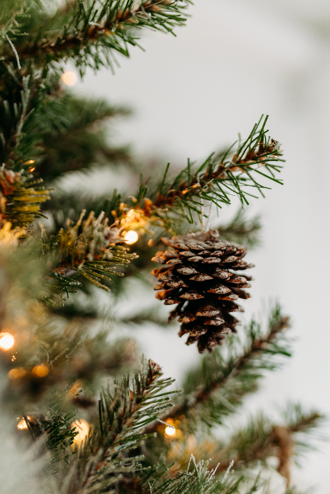 Kalėdine šeimos fotosesija 