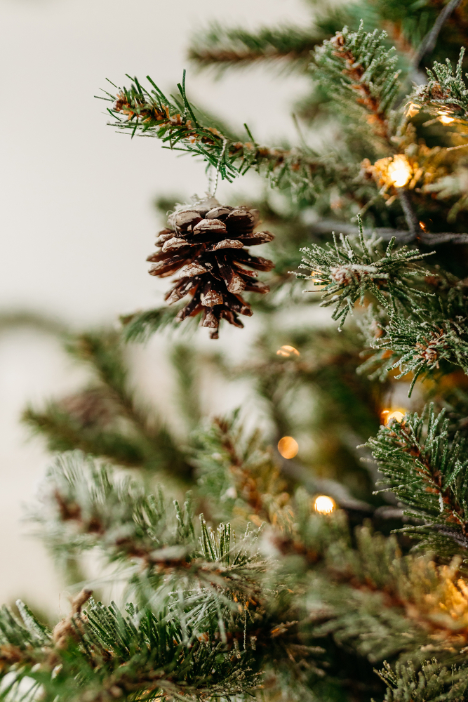 Kalėdine šeimos fotosesija 