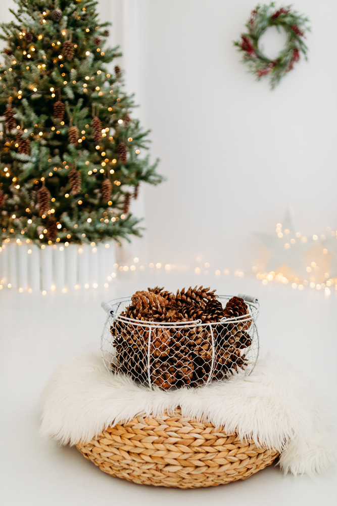 Kalėdine šeimos fotosesija 